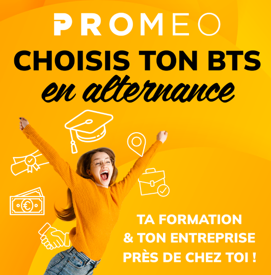Affiche Choisis ton alternance